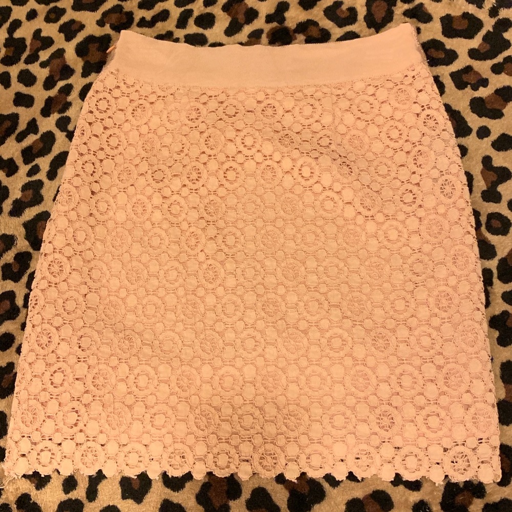Pale Pink Lace Skirt